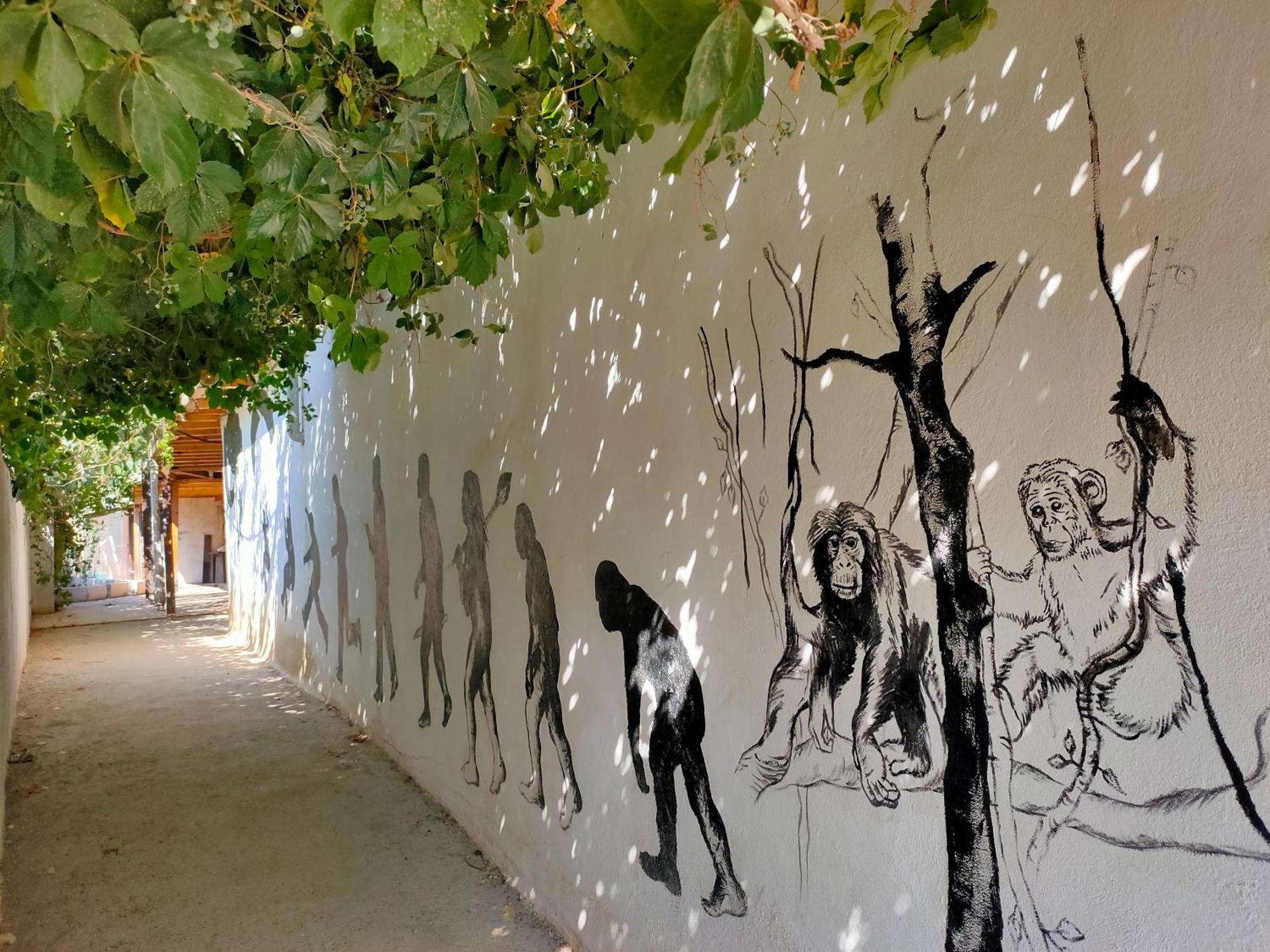 Oludeniz Hostel Eksteriør billede